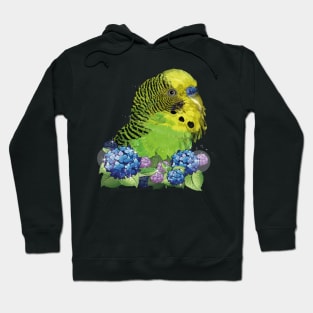 Australian parakeet Hoodie